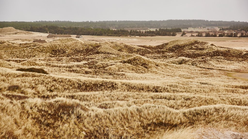 Slagelse montrant scènes tranquilles