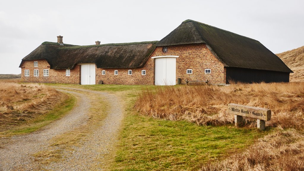 Slagelse qui includes scènes tranquilles et patrimoine historique