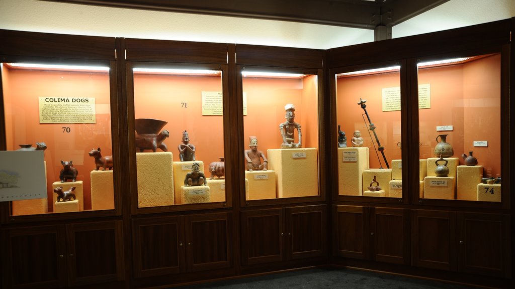 Museum of Native American History featuring interior views