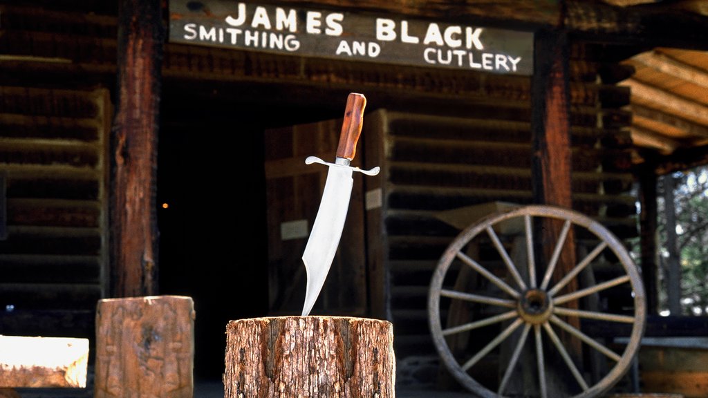 Old Washington Historic State Park showing signage and heritage elements