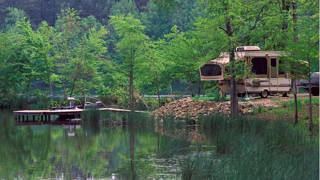 El Dorado mostrando pantano, camping y imágenes de bosques