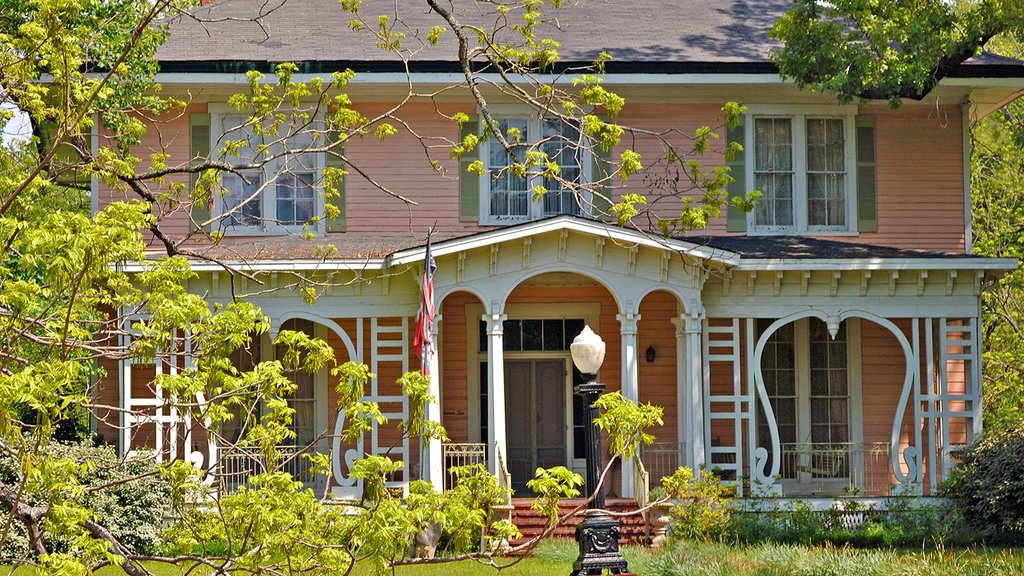 Camden showing heritage architecture and a house