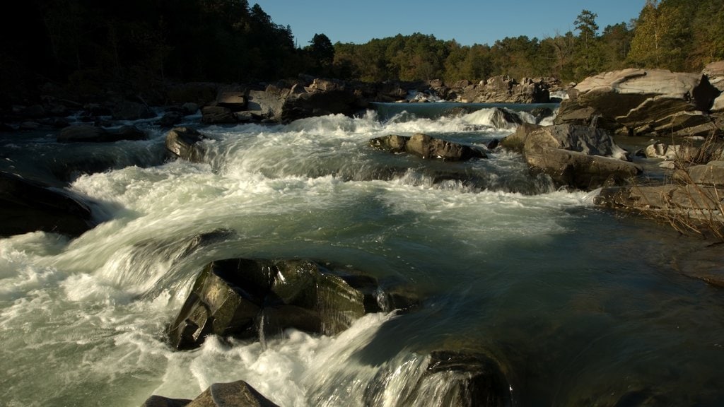 Southern Arkansas - Timberlands showing a river or creek