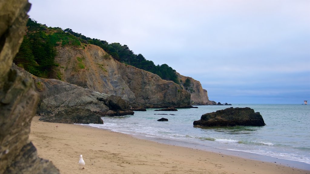 China Beach showing rugged coastline and a beach