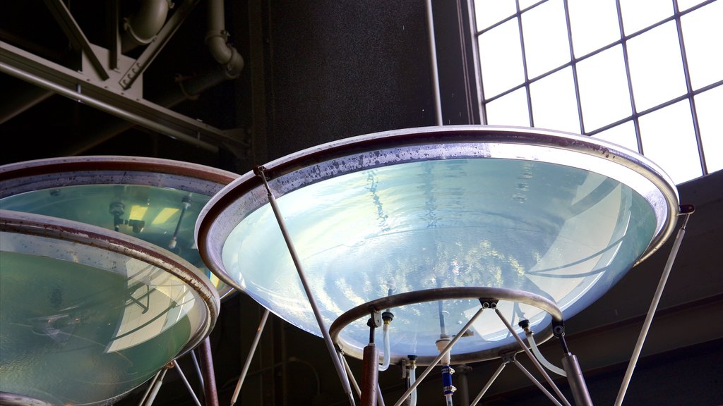 Exploratorium showing interior views