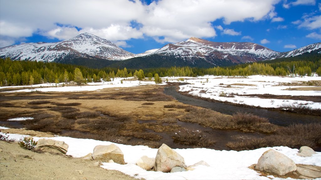 Tuolumne Meadows showing snow and tranquil scenes