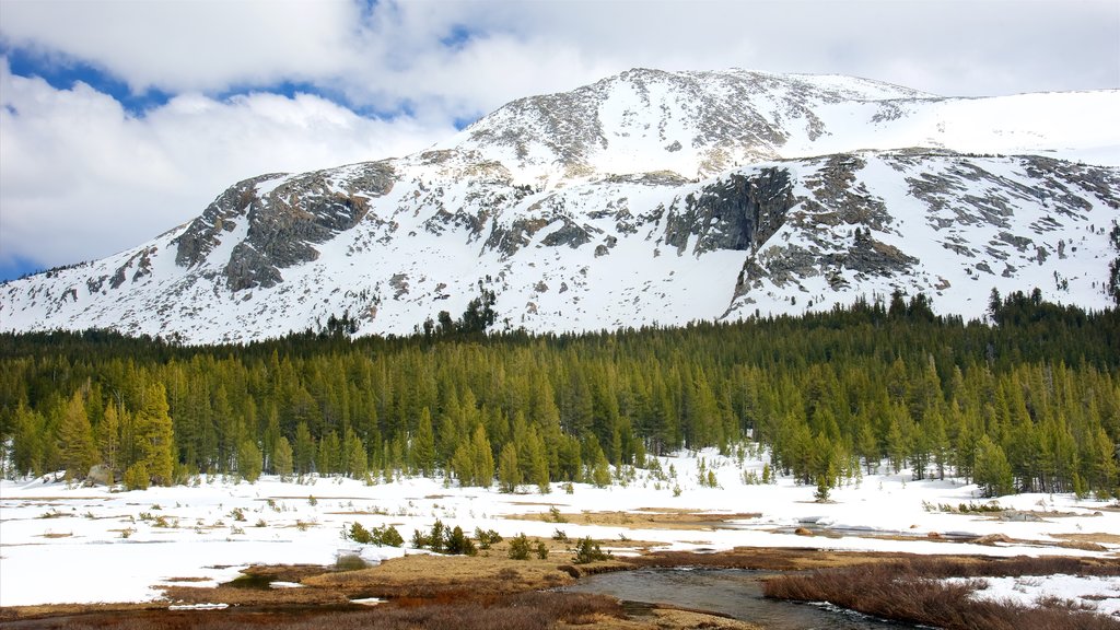 Tuolumne Meadows which includes snow, mountains and tranquil scenes