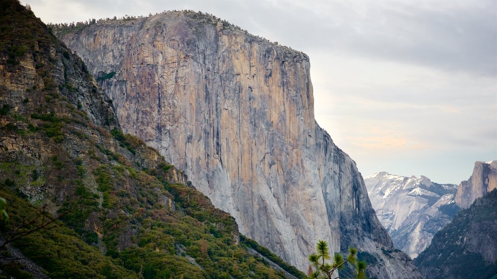 El Capitan que inclui montanhas e um desfiladeiro ou canyon