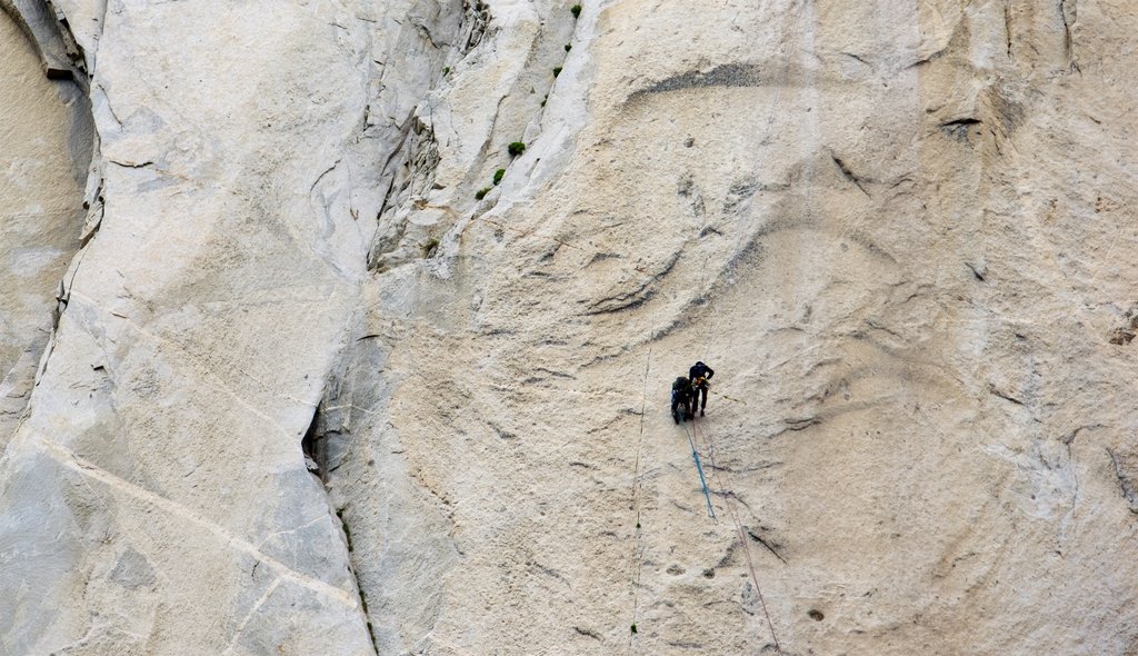 El Capitan featuring climbing and a gorge or canyon