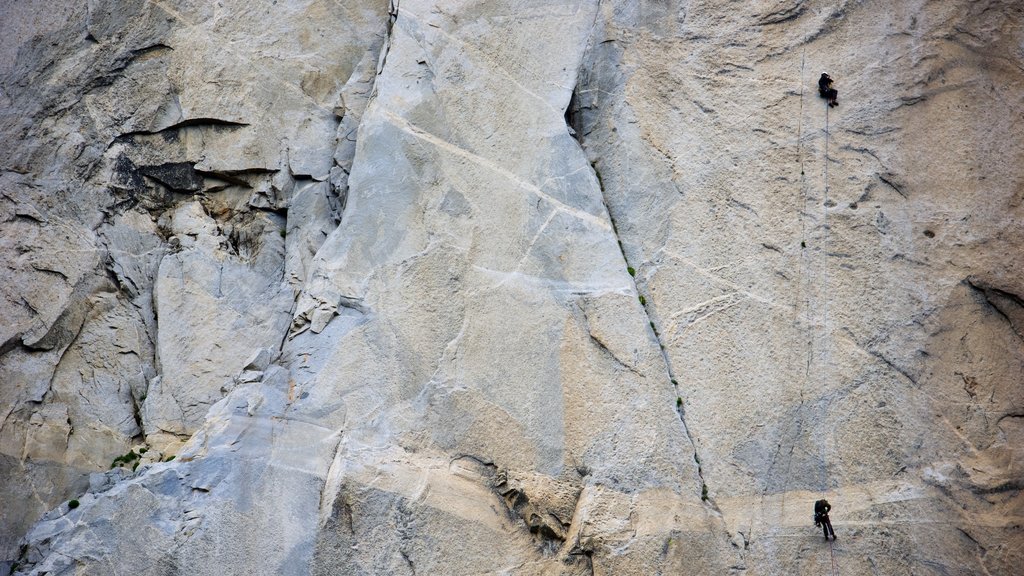 El Capitan featuring climbing and a gorge or canyon