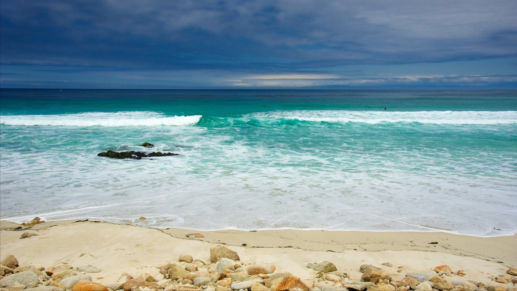 17-Mile Drive que incluye olas y una playa de arena