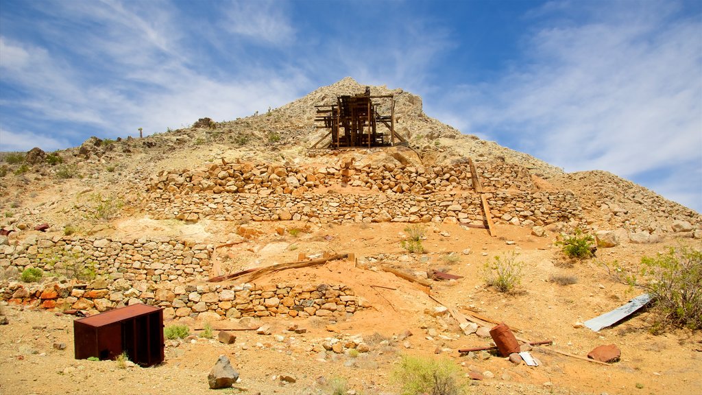 Lost Burro Mine showing desert views