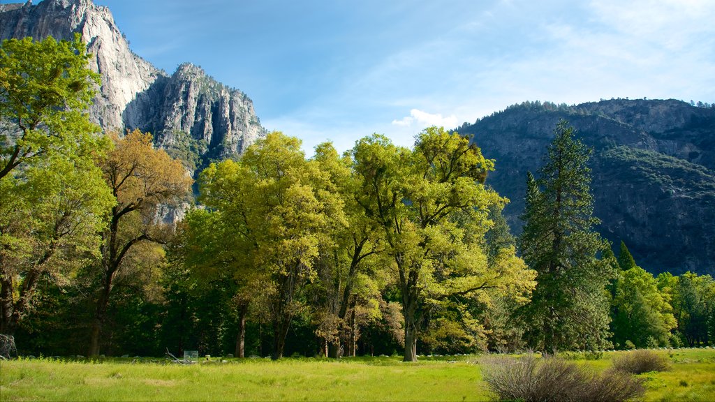 Sendero de Cook\'s Meadow ofreciendo escenas tranquilas y jardín