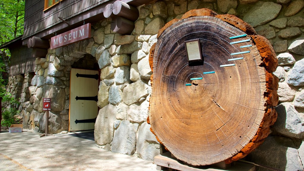 Musée Yosemite Museum Gallery