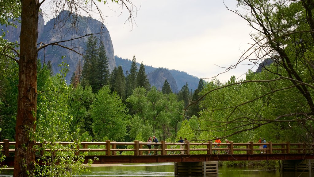 Yosemite nasjonalpark fasiliteter samt bro, rolig landskap og skoglandskap