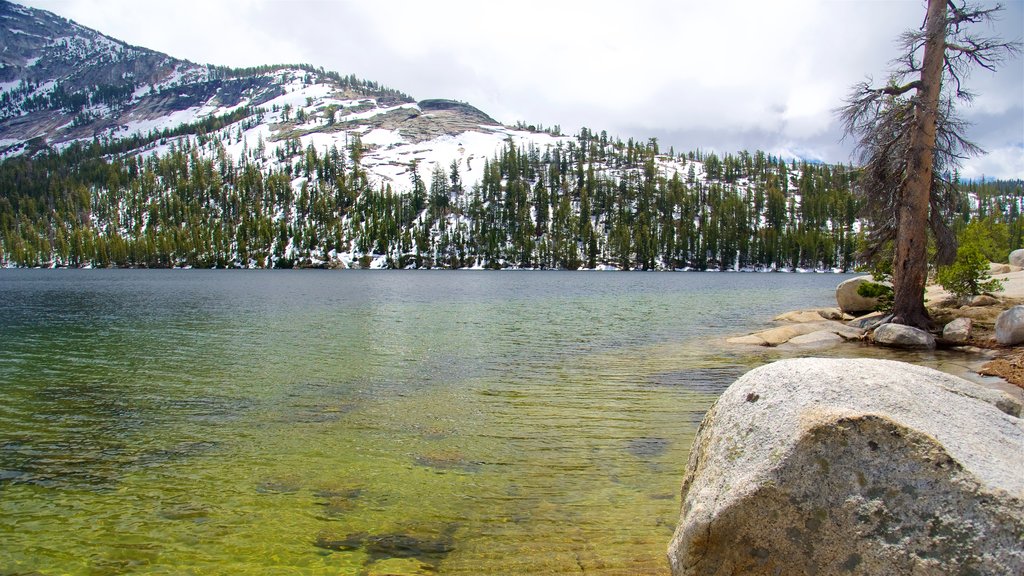 Tenaya Lake featuring a river or creek