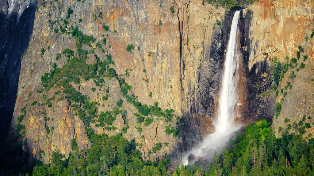 Bridalveil Fall caracterizando uma cachoeira, um desfiladeiro ou canyon e cenas de floresta