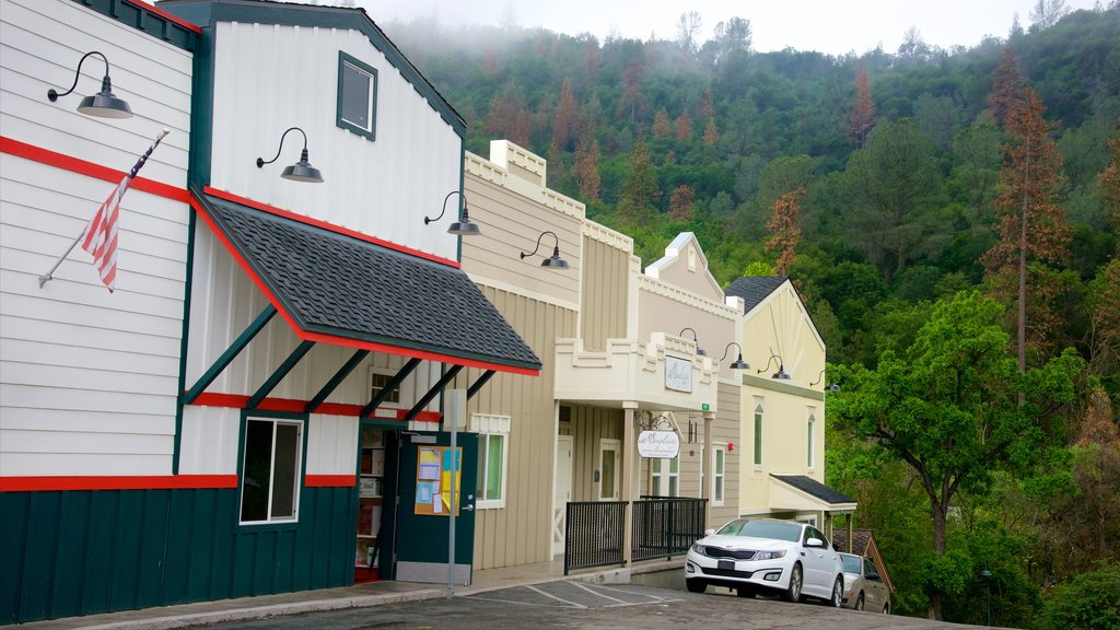 Mariposa showing shopping, a small town or village and forest scenes