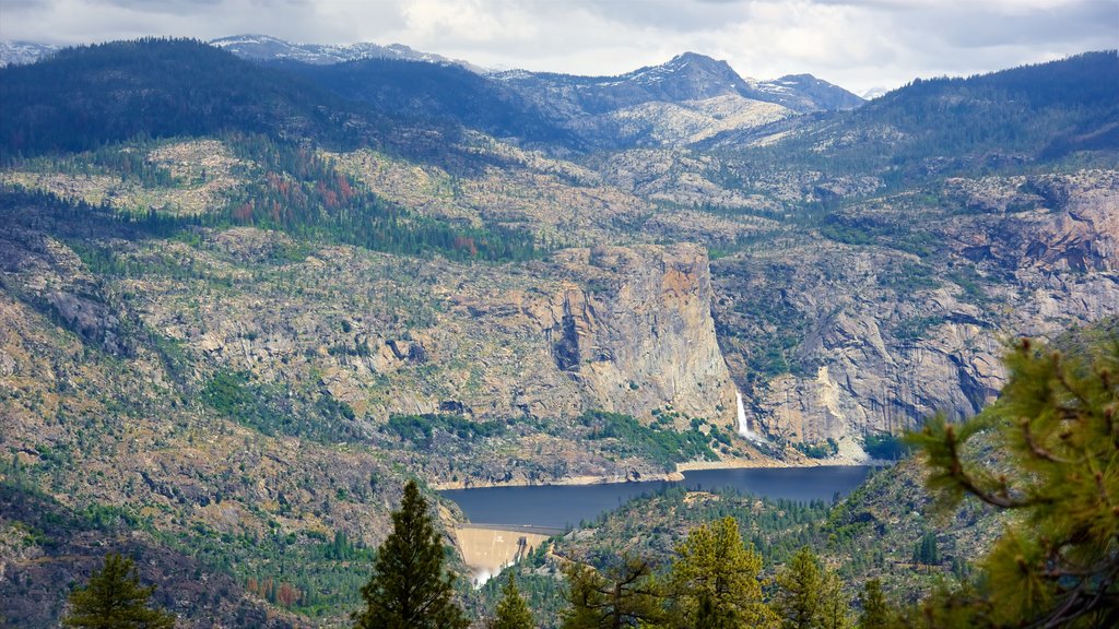 Hetch Hetchy Lake mostrando florestas, cenas tranquilas e paisagem