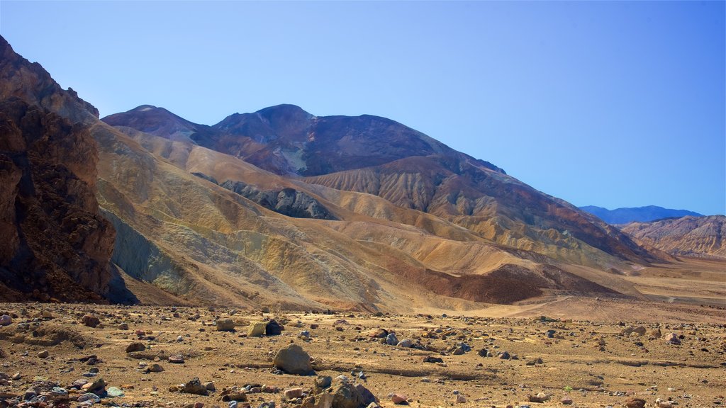 Death Valley showing tranquil scenes and desert views