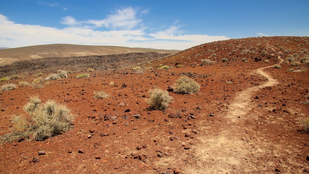 Death Valley which includes desert views and tranquil scenes