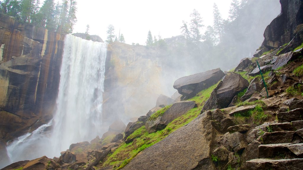 Vernal Falls montrant une chute, une gorge ou un canyon et brume ou brouillard