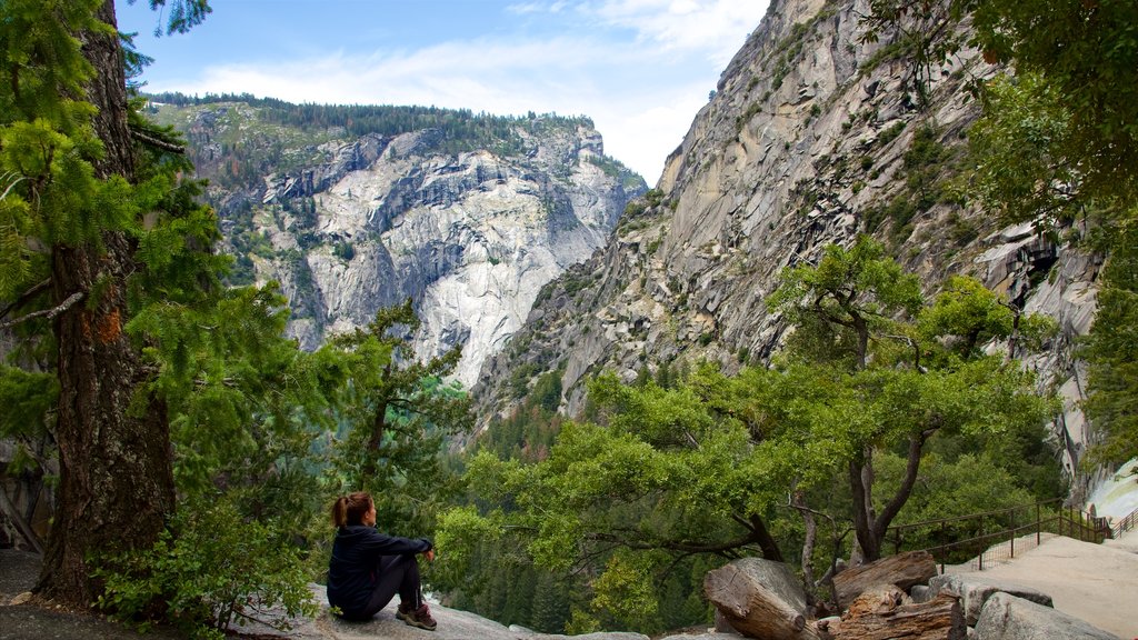 Vernal Falls which includes mountains and forests as well as an individual femail