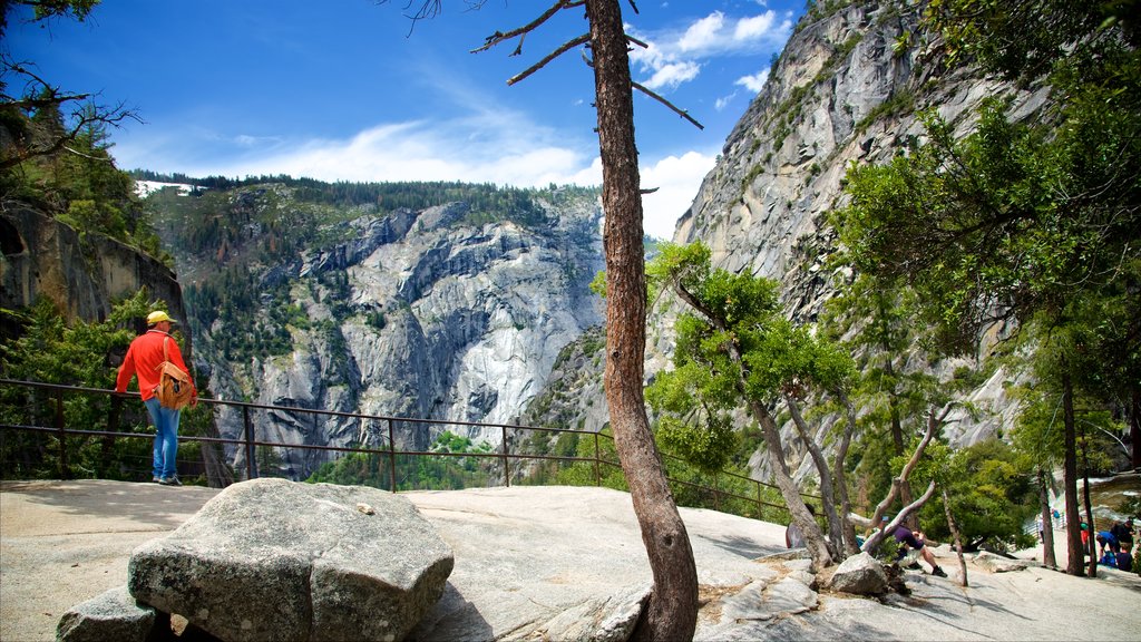 Vernal Falls featuring mountains and views