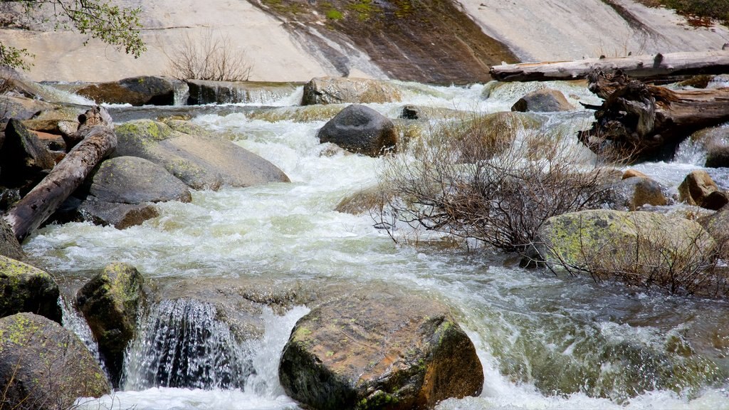 Vernal Falls og byder på en flod eller et vandløb