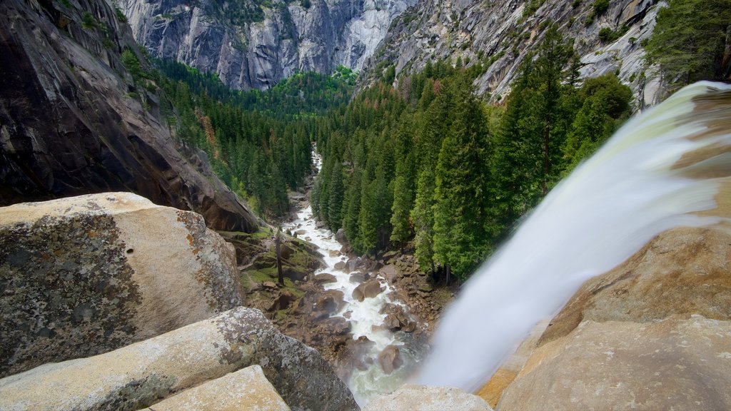 Vernal Falls som viser en kaskade, skove og en kløft eller slugt