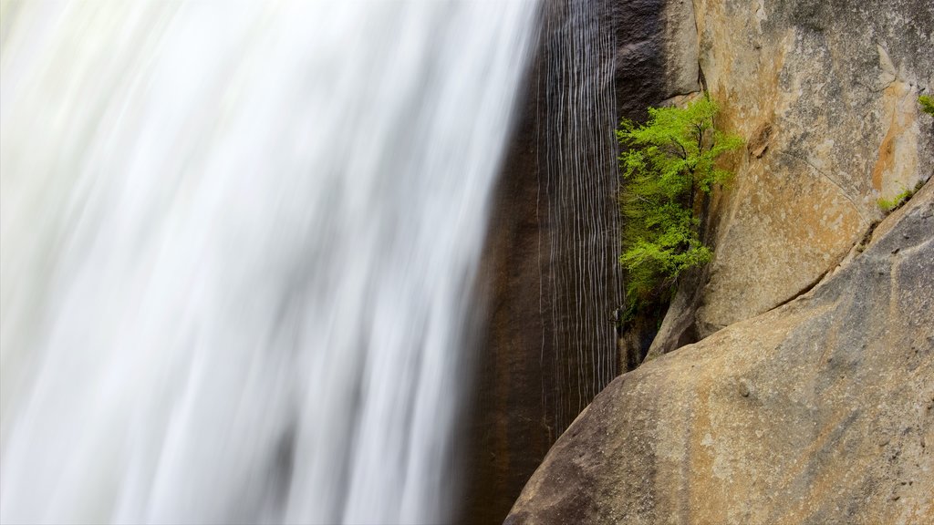 Vernal Falls showing a cascade