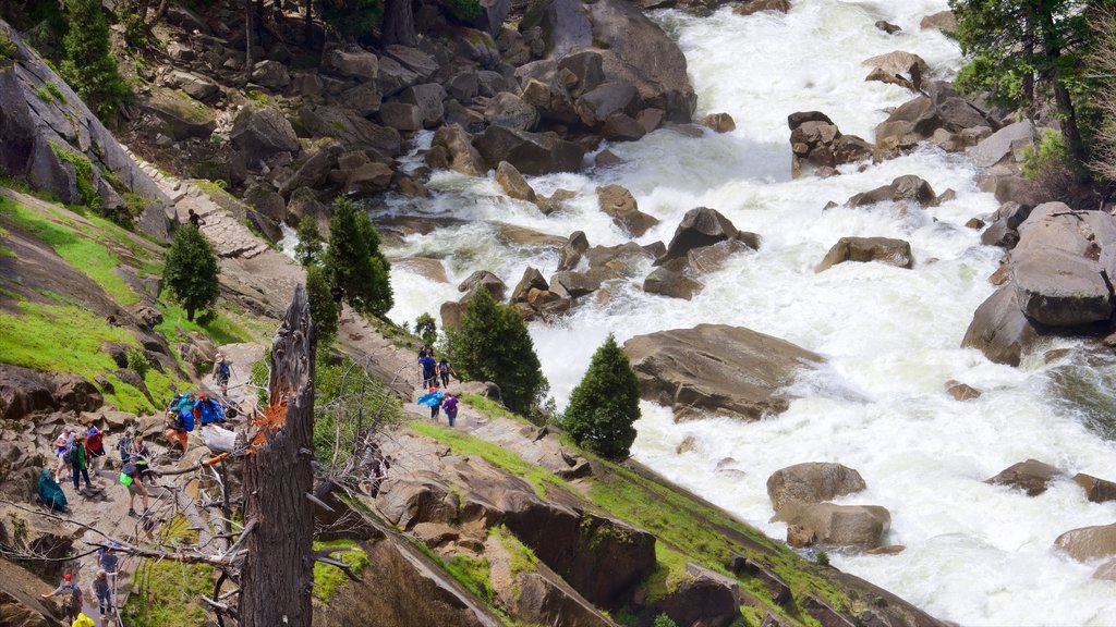 Vernal Falls som omfatter strømfald og fredfyldte omgivelser