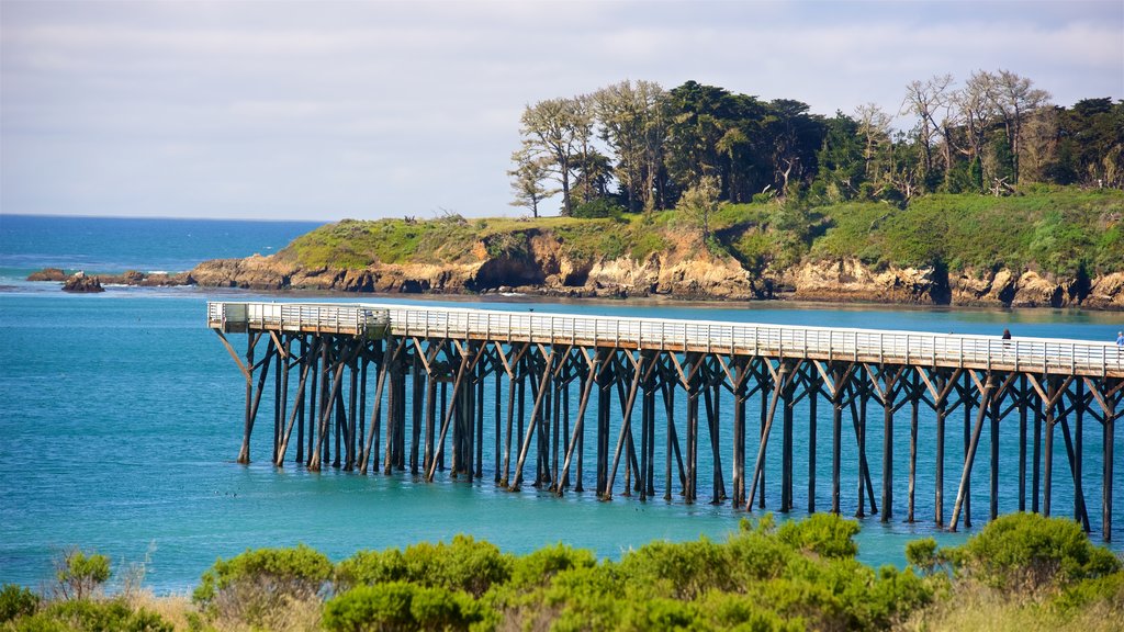 Muelle de San Simeon ofreciendo vistas generales de la costa