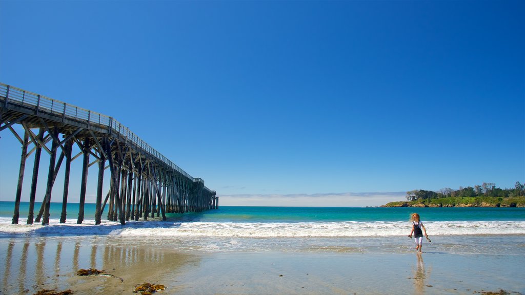 San Simeon Pier showing a sandy beach