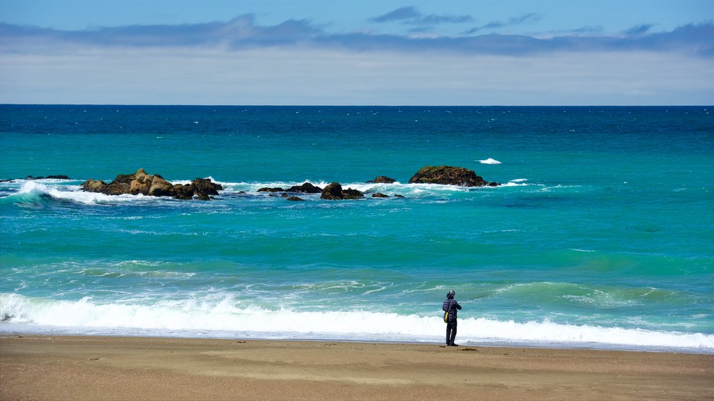 Moonstone Beach Park mostrando uma praia de areia