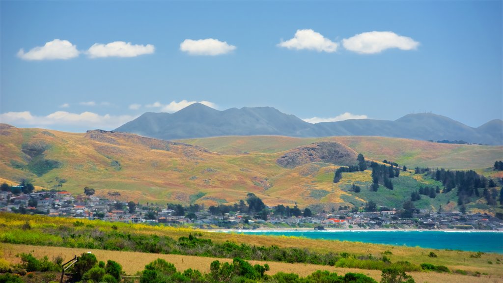 Moonstone Beach Park showing landscape views