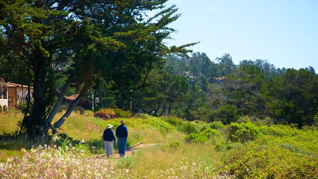 Moonstone Beach Park showing farmland