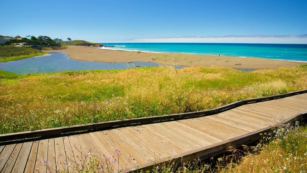 Moonstone Beach Park che include giardino e spiaggia sabbiosa