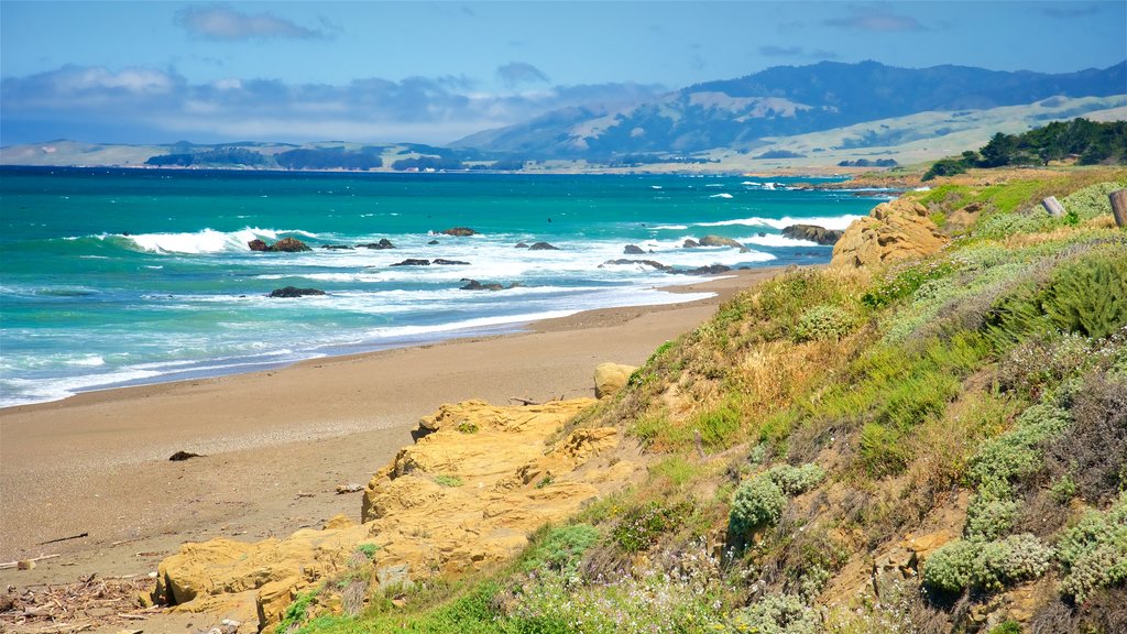 Moonstone Beach Park showing a beach