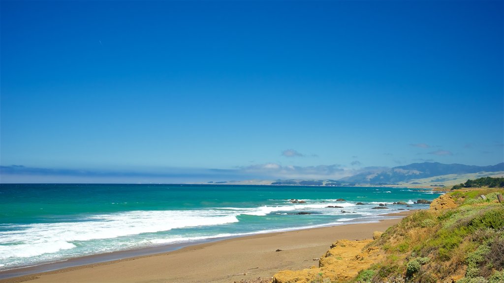 Moonstone Beach Park showing a sandy beach