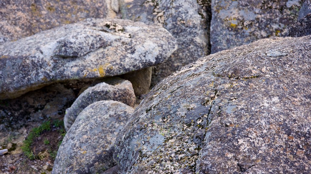 Hetch Hetchy Reservoir som viser fredfyldte omgivelser