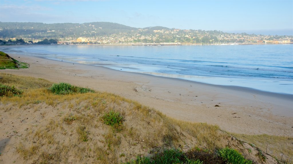 Del Monte Beach showing a sandy beach