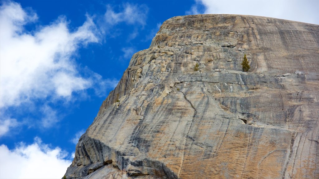 Lembert Dome showing mountains