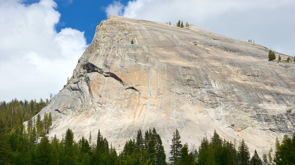 Lembert Dome featuring mountains