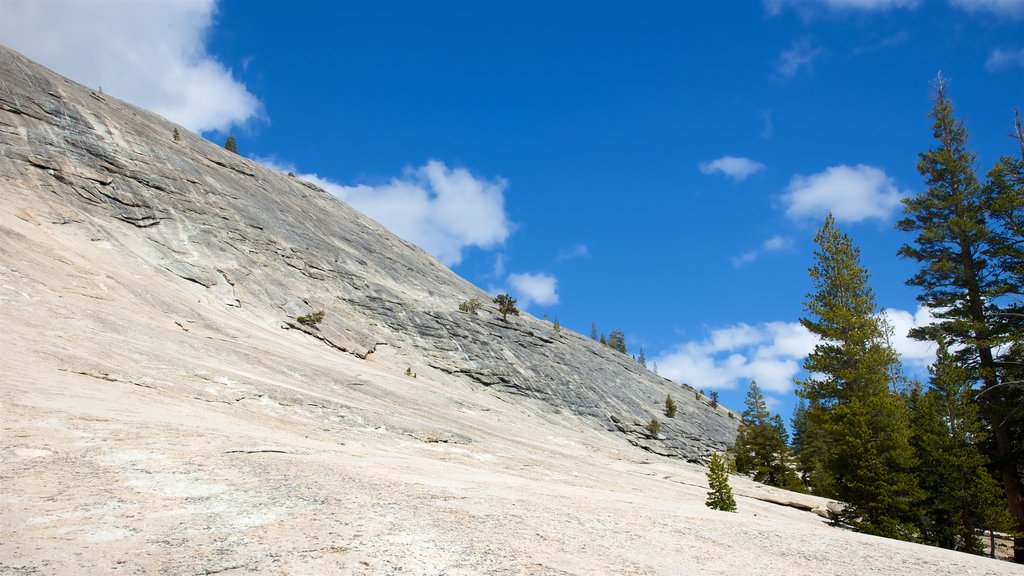 Lembert Dome showing mountains