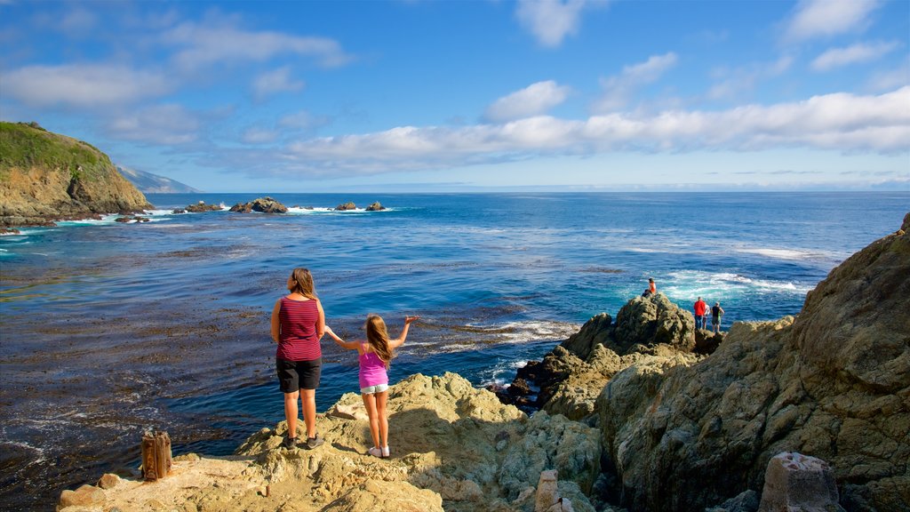 Partington Cove showing general coastal views and rugged coastline as well as a small group of people