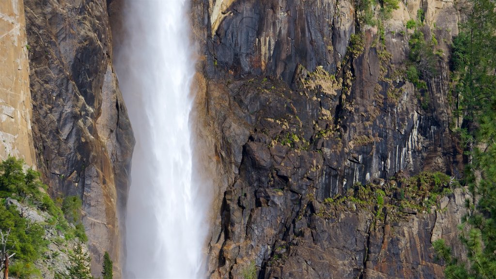 Bridalveil Falls featuring a cascade