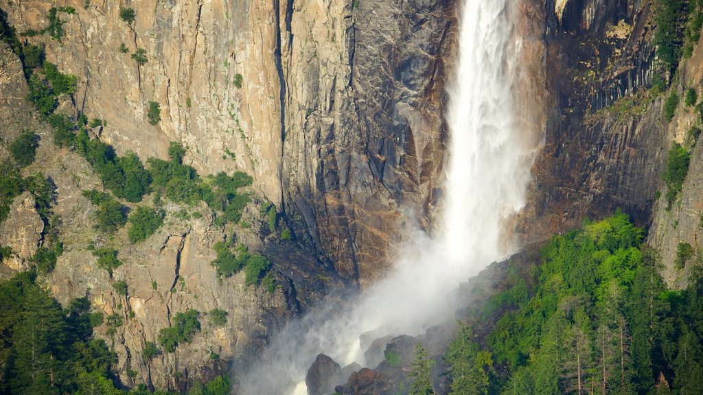 Bridalveil Fall que inclui uma cachoeira