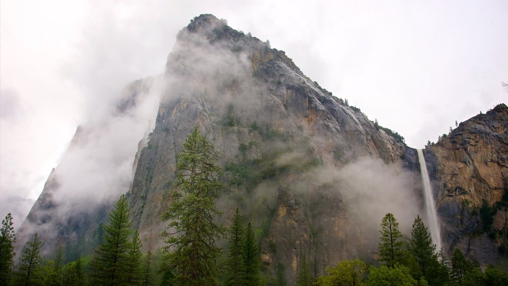 Bridalveil Falls which includes mist or fog, mountains and forest scenes