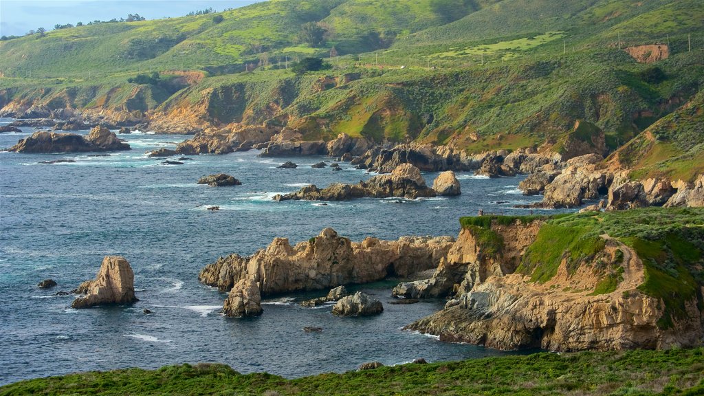 Garrapata Beach featuring rocky coastline